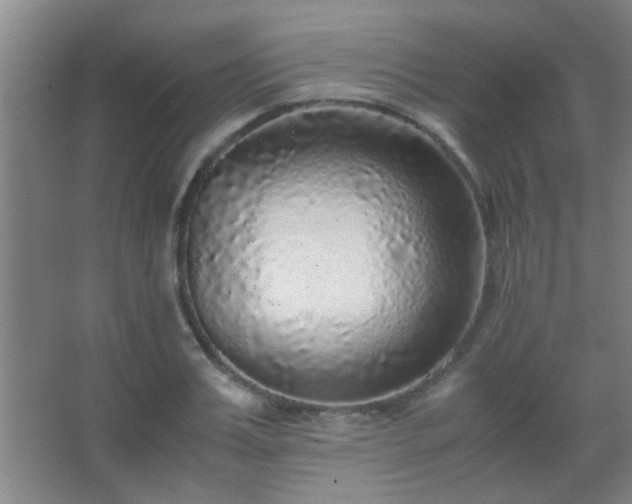 X0000067400987200604071816