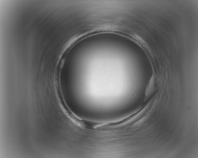X0000067400989200604071816