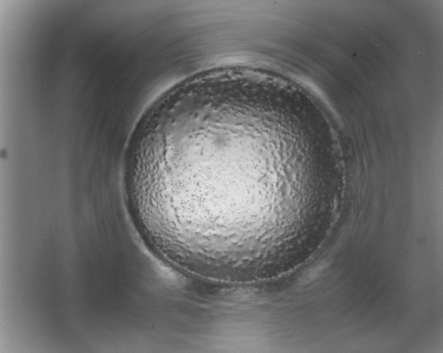 X0000067400991200604071815