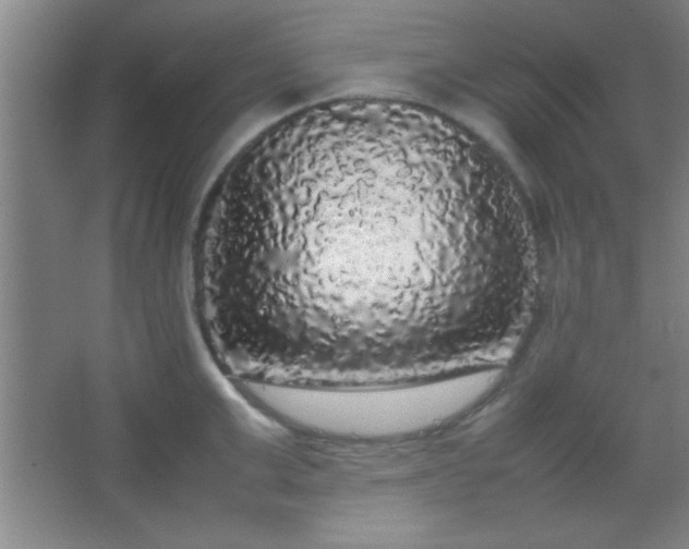 X0000067400999200604071815