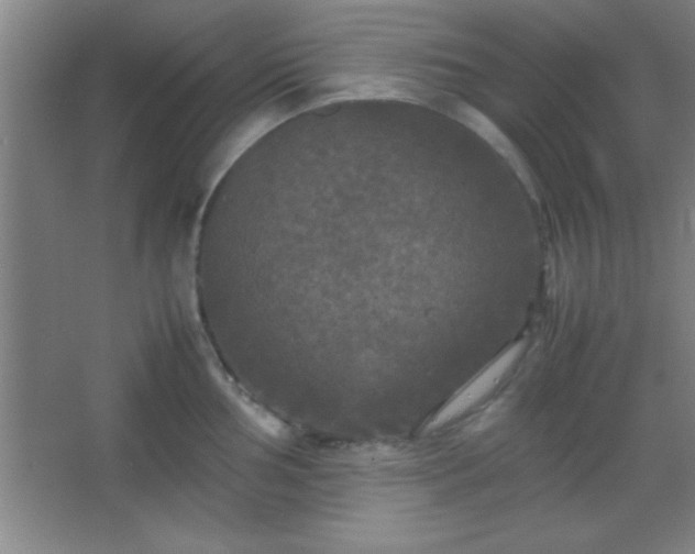 X0000067401002200604071815