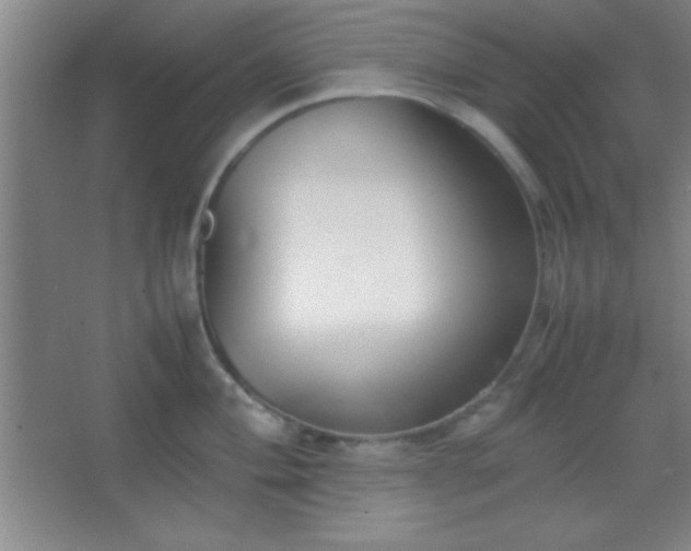 X0000067401004200604071815