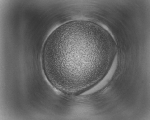X0000067401007200604071815