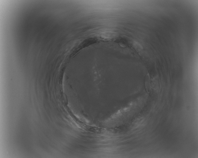 X0000067401009200604071814