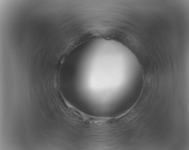 X0000067401012200604071814