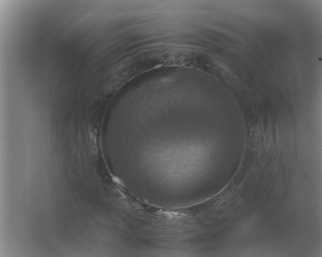 X0000067401013200604071814