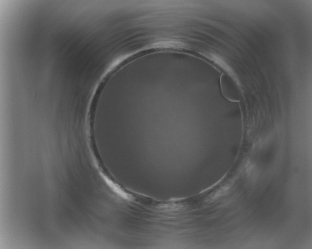 X0000067401037200604071815