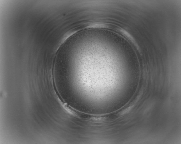 X0000067401041200604071815