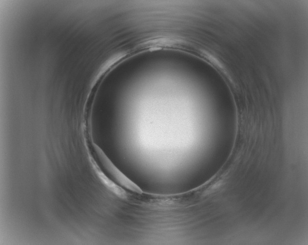 X0000067401042200604071815