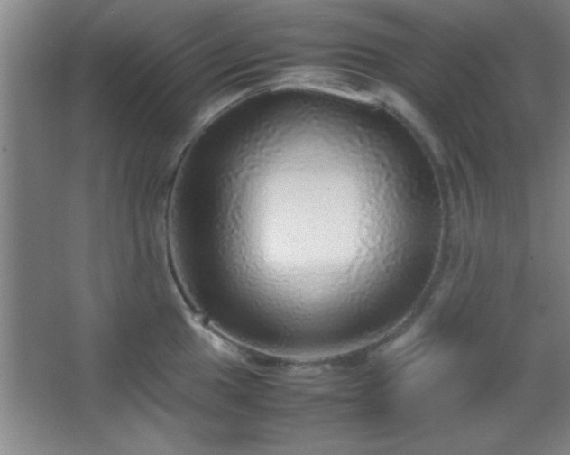 X0000067401049200604071815
