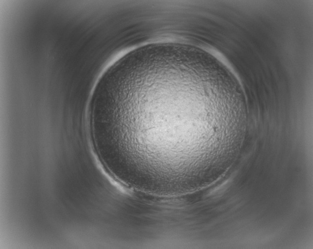 X0000067401053200604071815