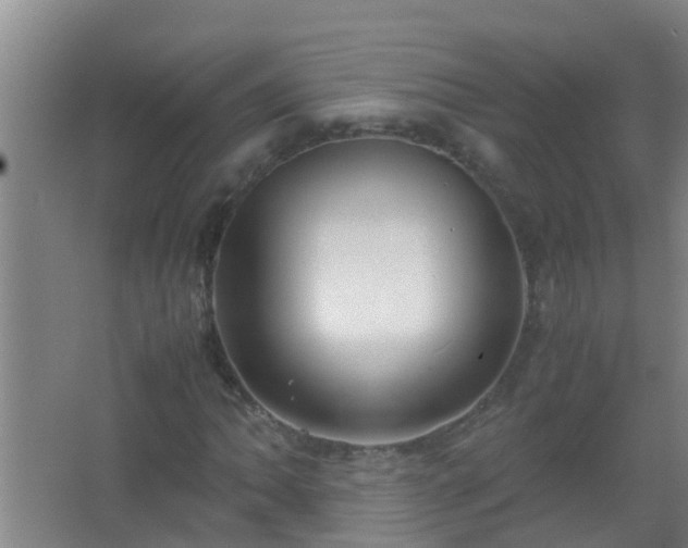 X0000067401062200604071814