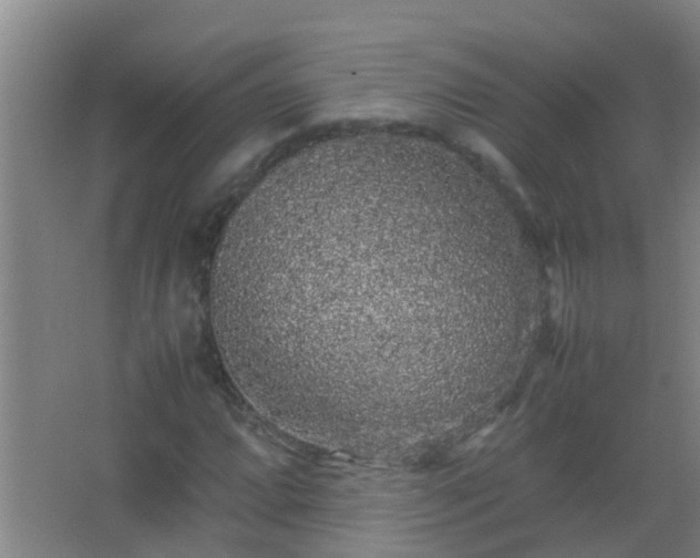 X0000067401064200604071814