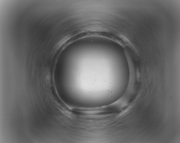 X0000067401065200604071814