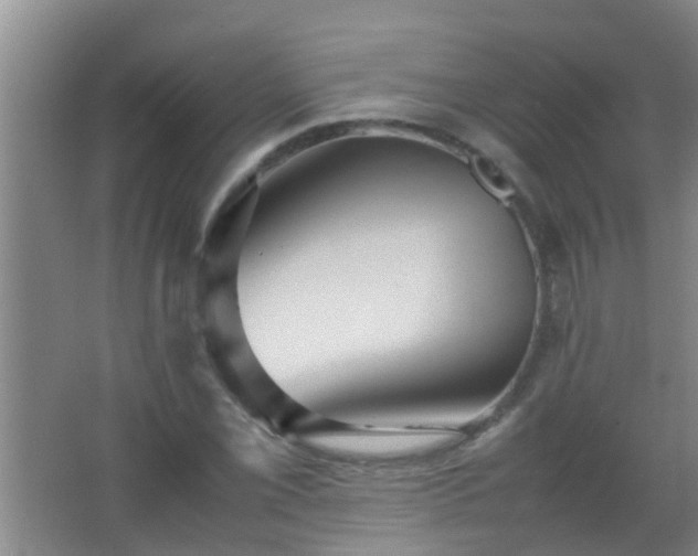 X0000067401069200604071814