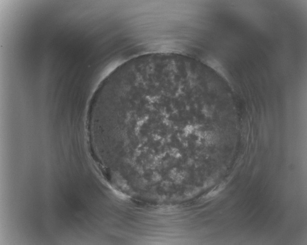 X0000067401071200604071814