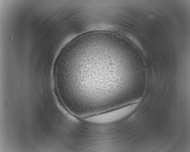 X0000067401080200604071814