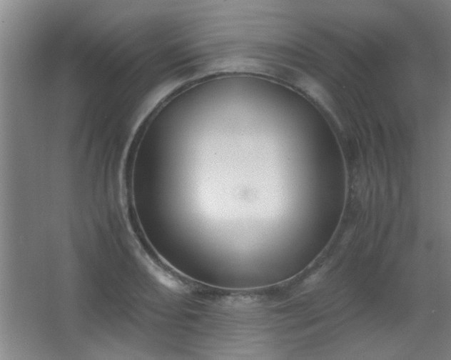 X0000067401082200604071814