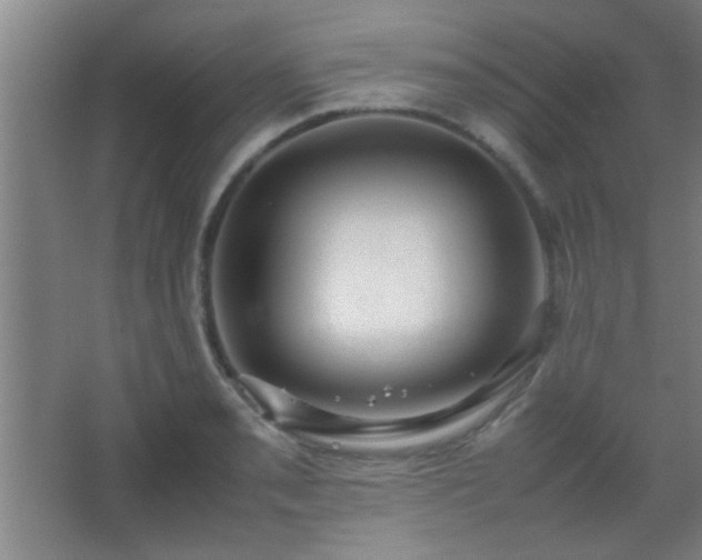 X0000067401085200604071814