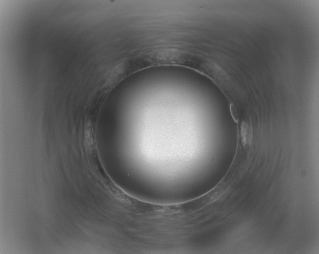 X0000067401107200604071813