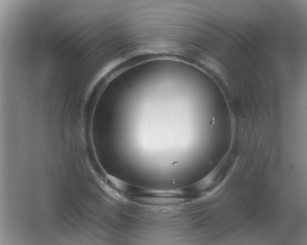 X0000067401114200604071813