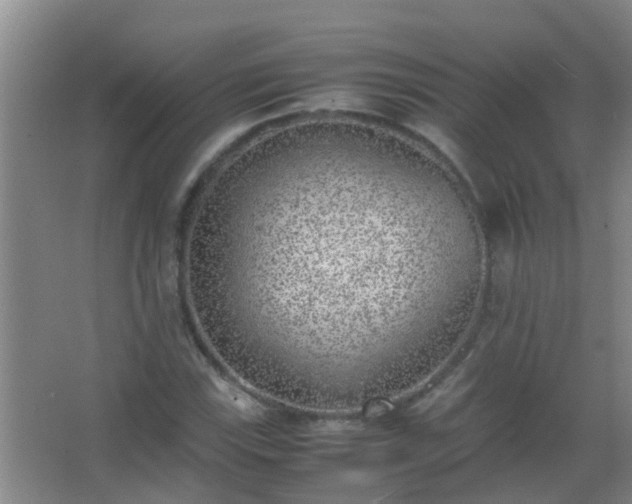 X0000067401115200604071813