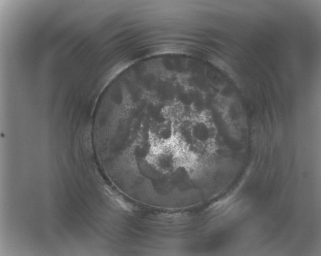 X0000067401121200604071813