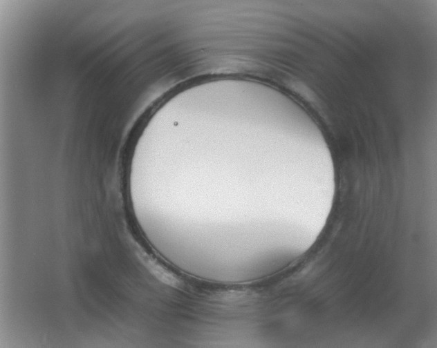 X0000067401122200604071813