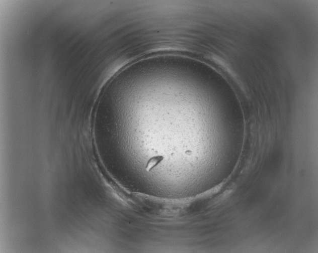 X0000067401129200604071813