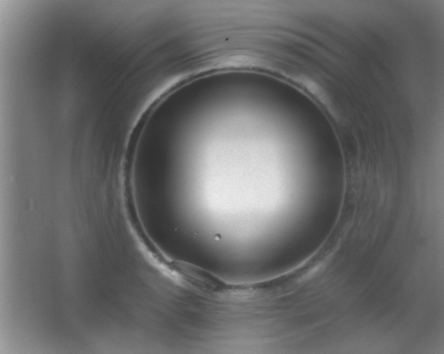 X0000067401134200604071813