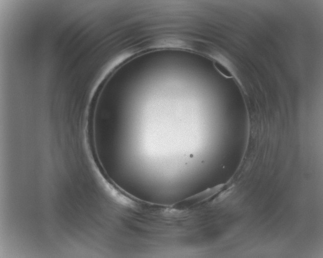 X0000067401139200604071813