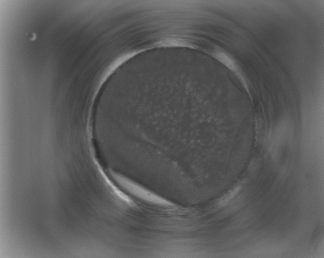 X0000067401141200604071813