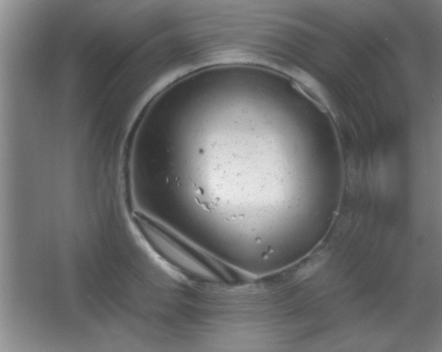 X0000067401142200604071813