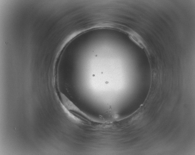 X0000067401143200604071813