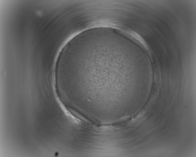 X0000067401144200604071813