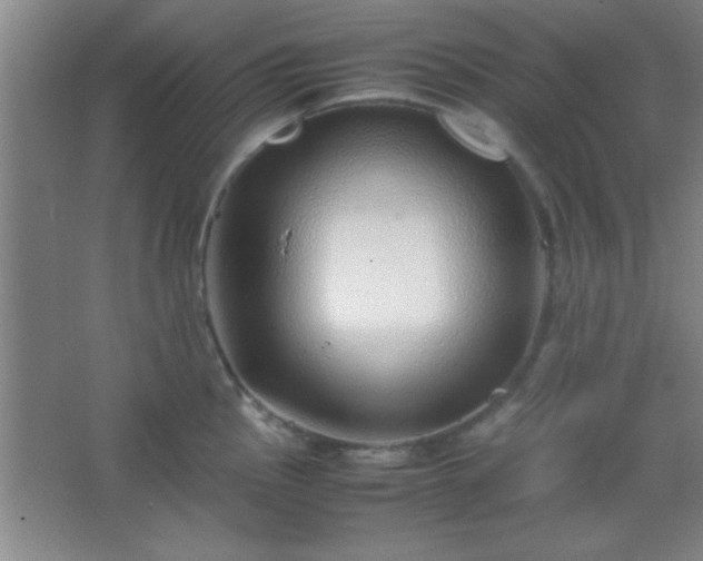 X0000067401145200604071813