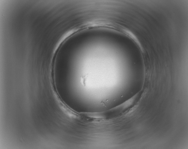 X0000067401146200604071813