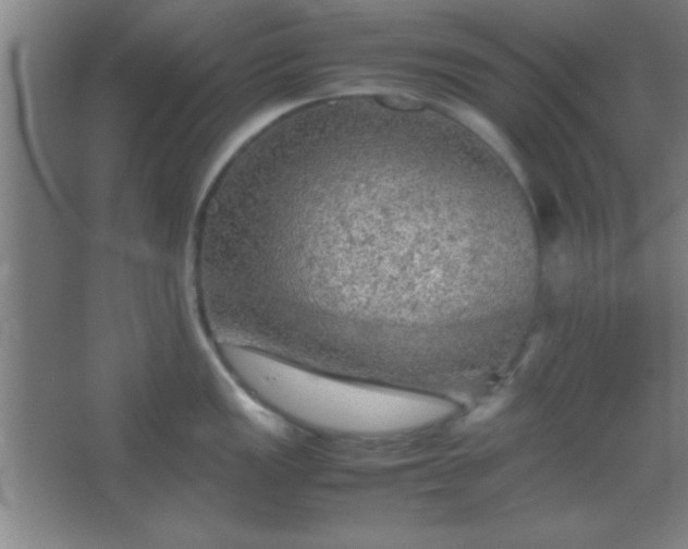 X0000067401149200604071813