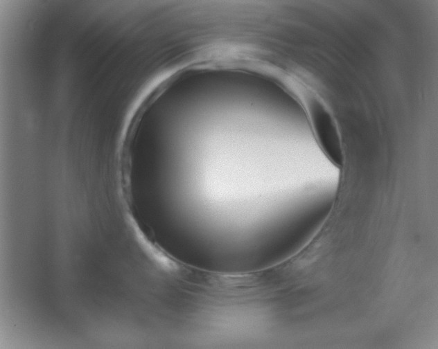 X0000067401152200604071814