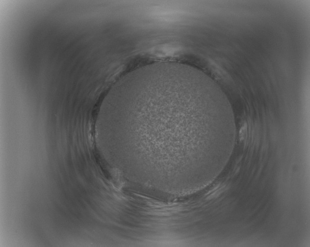 X0000067401156200604071813