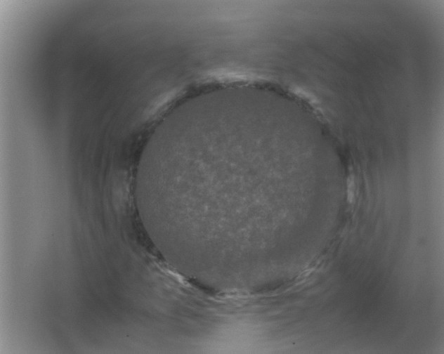 X0000067401157200604071813