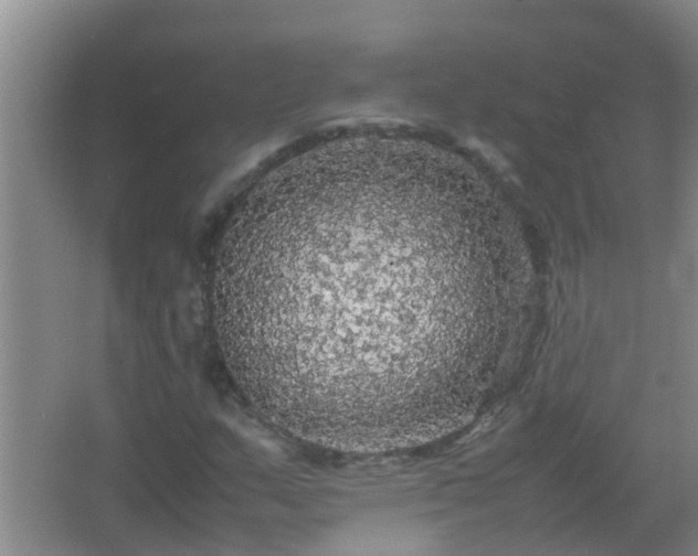 X0000067401159200604071813