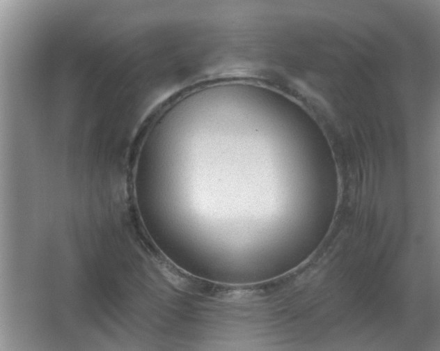 X0000067401166200604071813