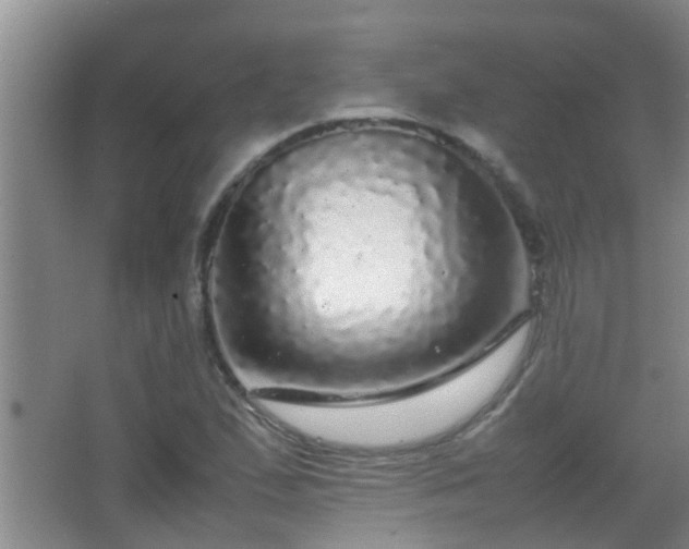X0000067401167200604071812
