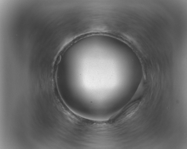 X0000067401168200604071812