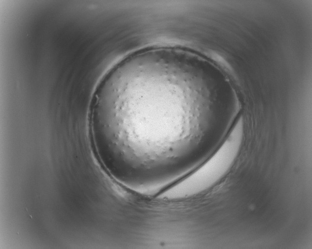 X0000067401183200604071812