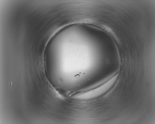 X0000067401184200604071812