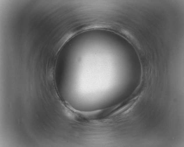 X0000067401185200604071812