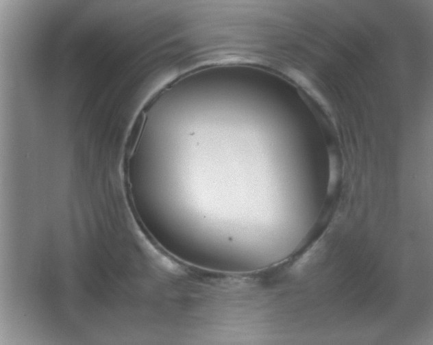 X0000067401189200604071812