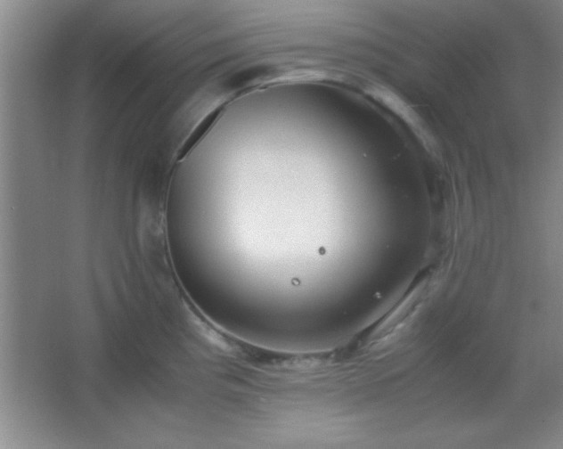 X0000067401193200604071812